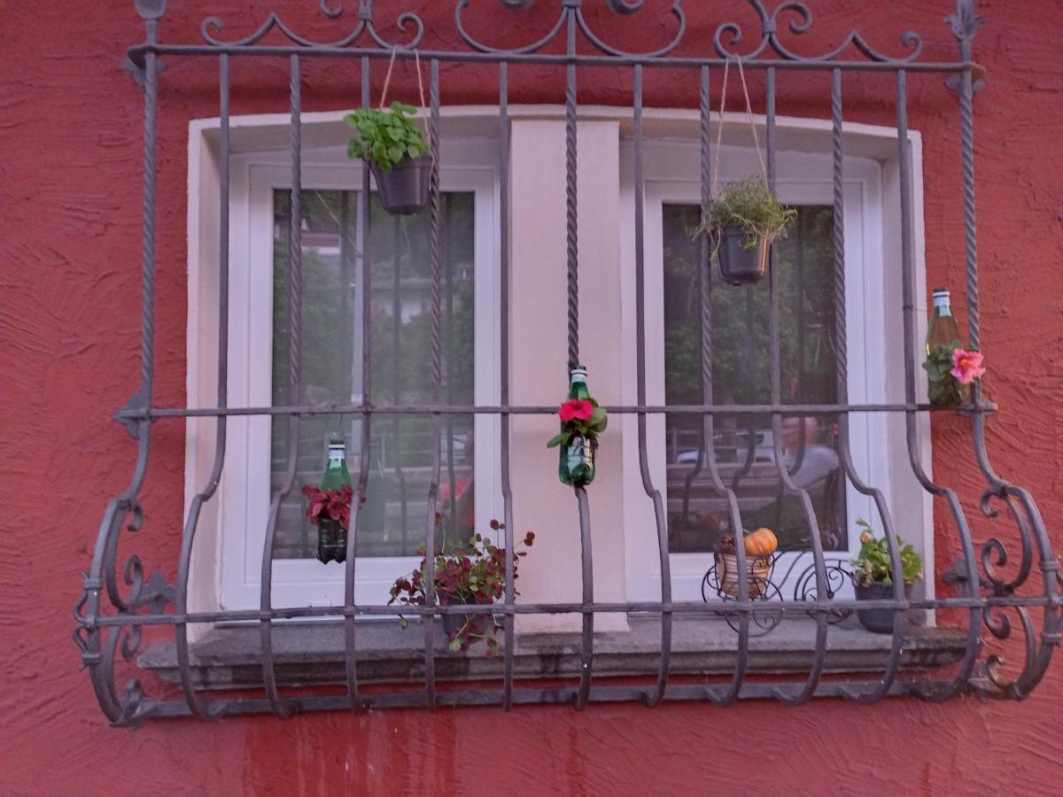 Liebesnest Am Maggiafluss Apartment Solduno Екстериор снимка